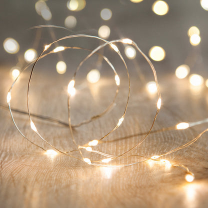 Silver Wire Indoor Micro Light Garland - product photo 1
