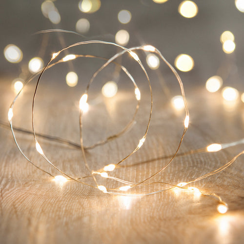 Silver Wire Indoor Micro Light Garland - product photo 1